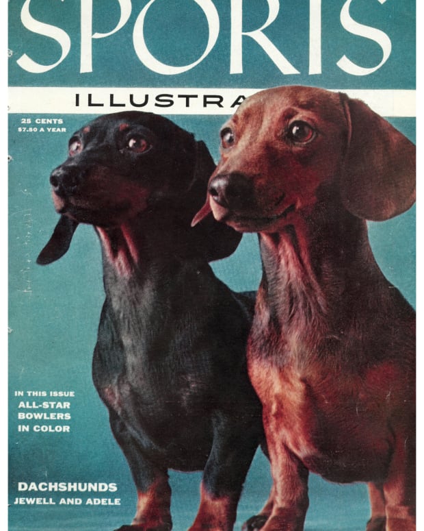 42387 - Cover Image